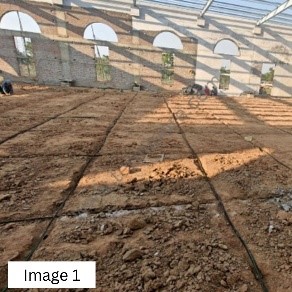Why should you install Anti-termite Reticulation System in your premises?